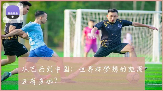 从巴西到中国：世界杯梦想的距离还有多远？